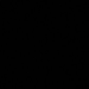 Meet your Posher, Viviene